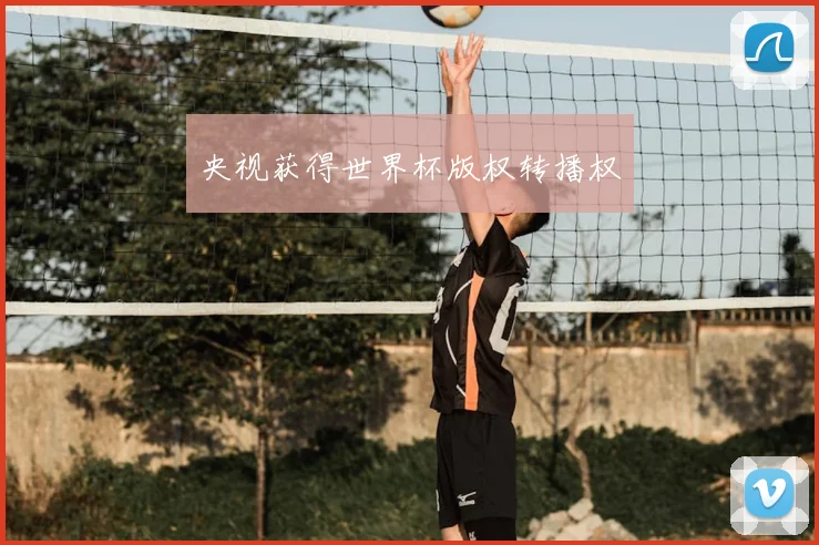 央视获得世界杯版权转播权