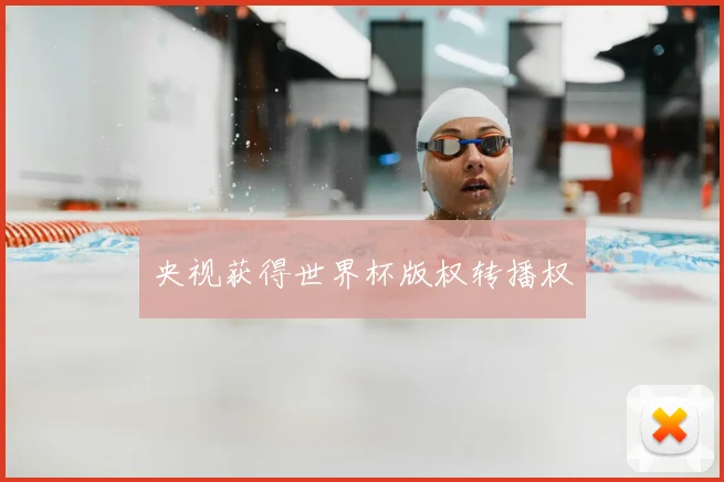 央视获得世界杯版权转播权