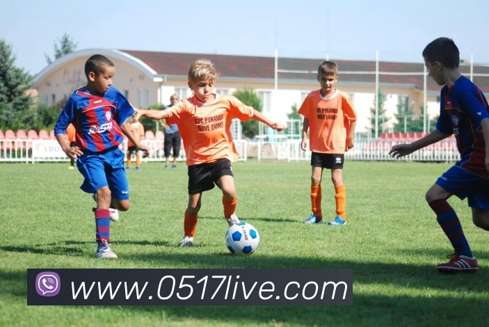 kaiyun登录入口APP 体育赛事宣传图